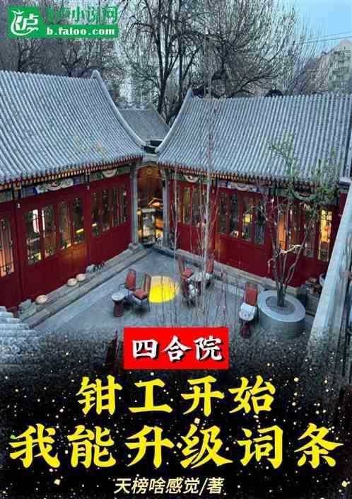 四合院之技术员