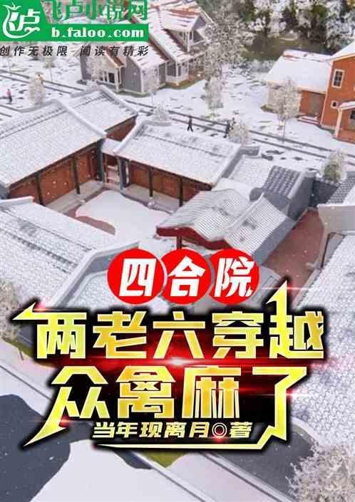 四合院二大妈