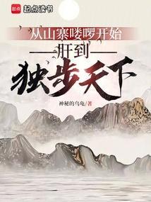 从山寨npc到boss全文阅读