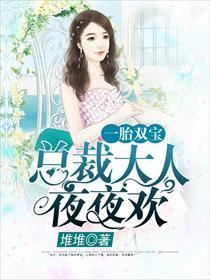 一胎双宝总裁大人夜夜欢 笔趣阁