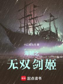 海贼之无双剑道