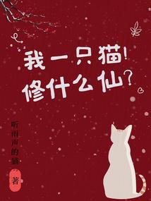 我一只小猫