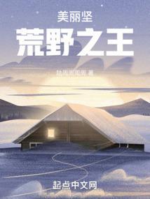 美国荒野2020