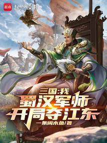 开局夺江东盗版
