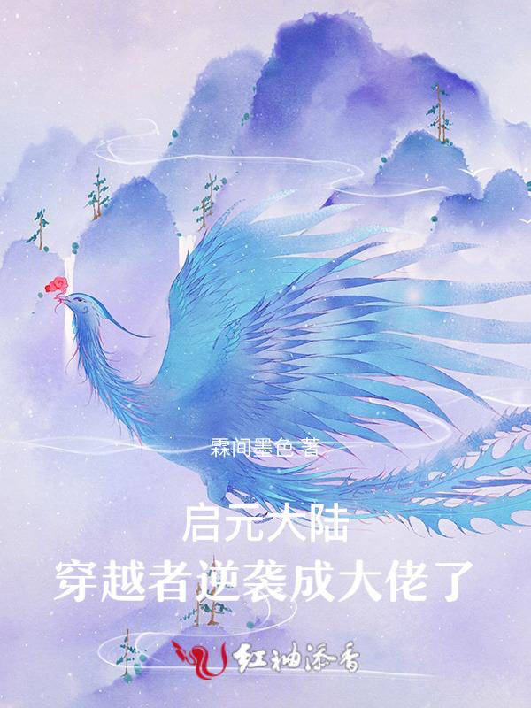 启元儿子