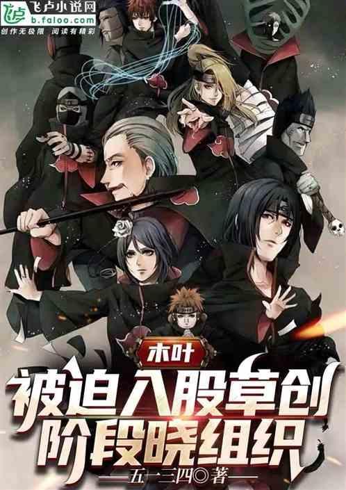 晓组织进攻木叶村
