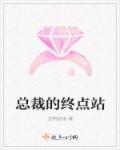 总裁的diy