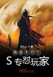 我是boss家教ds游戏
