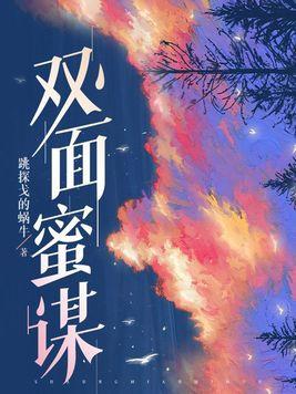 双面面具剧情介绍