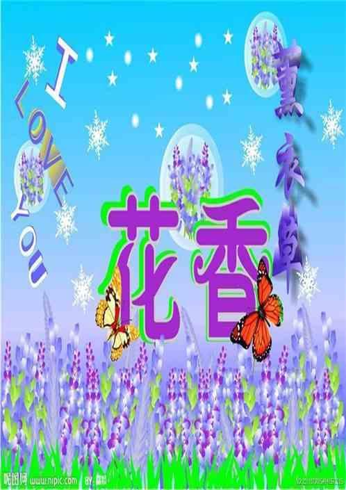薰衣草