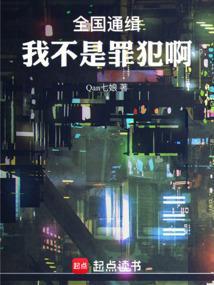 全国通缉简介
