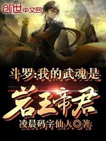 斗罗之我的武魂是魂环王枫
