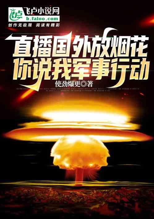 国外放烟花么