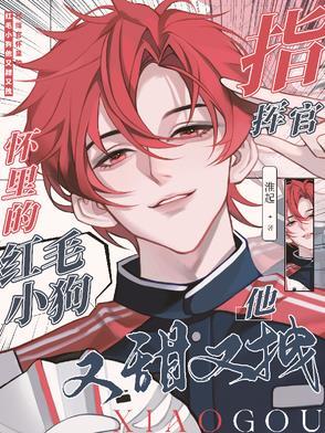 指挥官软乎乎的