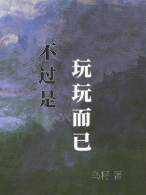 不过是玩具罢了
