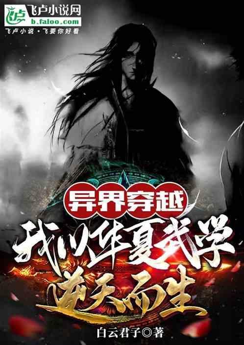 主角带华夏武功穿越异界的