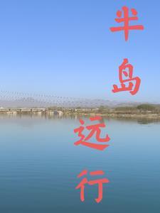 半岛啥意思