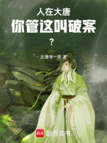 你管这叫破案免费阅读