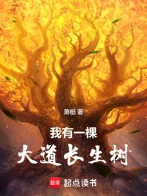 我有一颗大道树免费