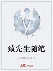 致先生是什么意思