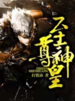 至尊神皇100集全免费版