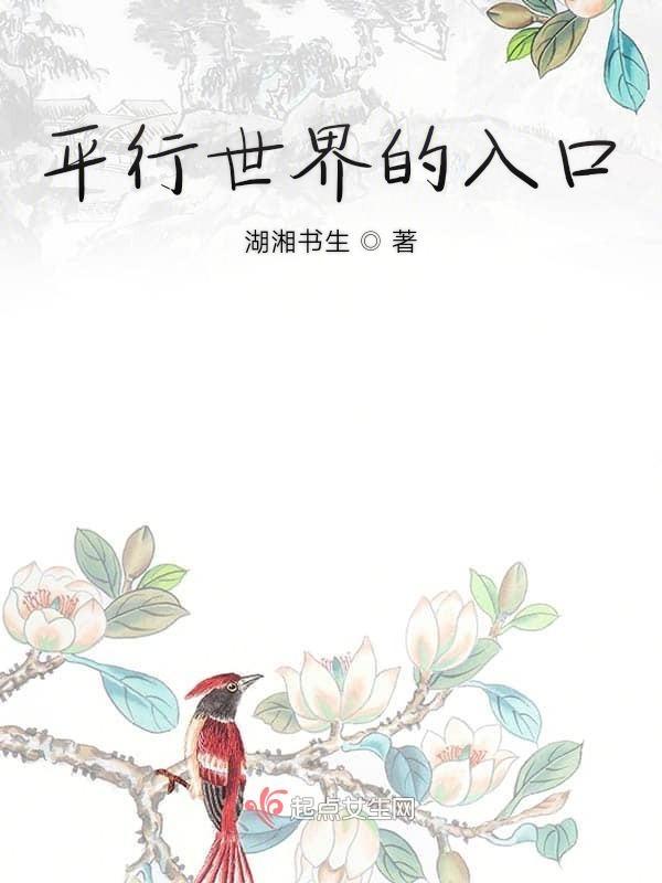 平行世界的入口是不是在南级吗