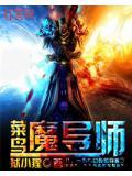 菜鸟高手大师