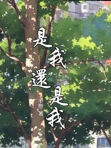 是我