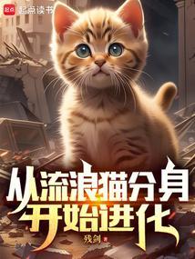 从流浪大师开始