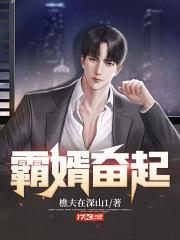霸婿崛起全文阅读