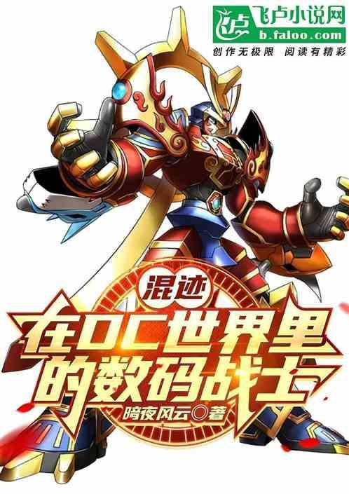 混迹在dc世界里的数码战士
