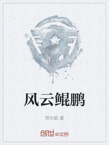 云起鲲鹏