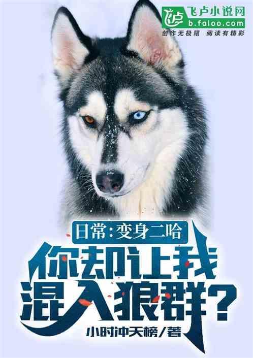 我变成二哈的那些事