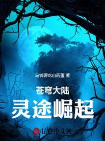 苍穹之灵路漫画