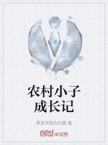 乡村小子成长记