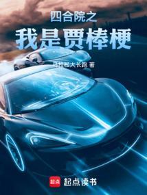 重生四合院之我是贾