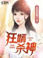 狂婿杀神 脱缰的脑子