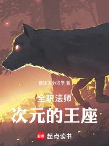 全职法师次元的王座免费阅读