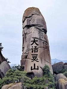 大话灵藤怎么用