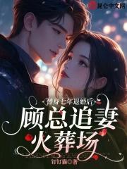 替身前妻失忆后全文免费阅读