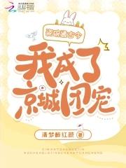 瓷碗 知乎