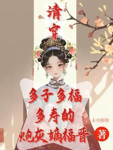 清穿嫡福晋的文推荐