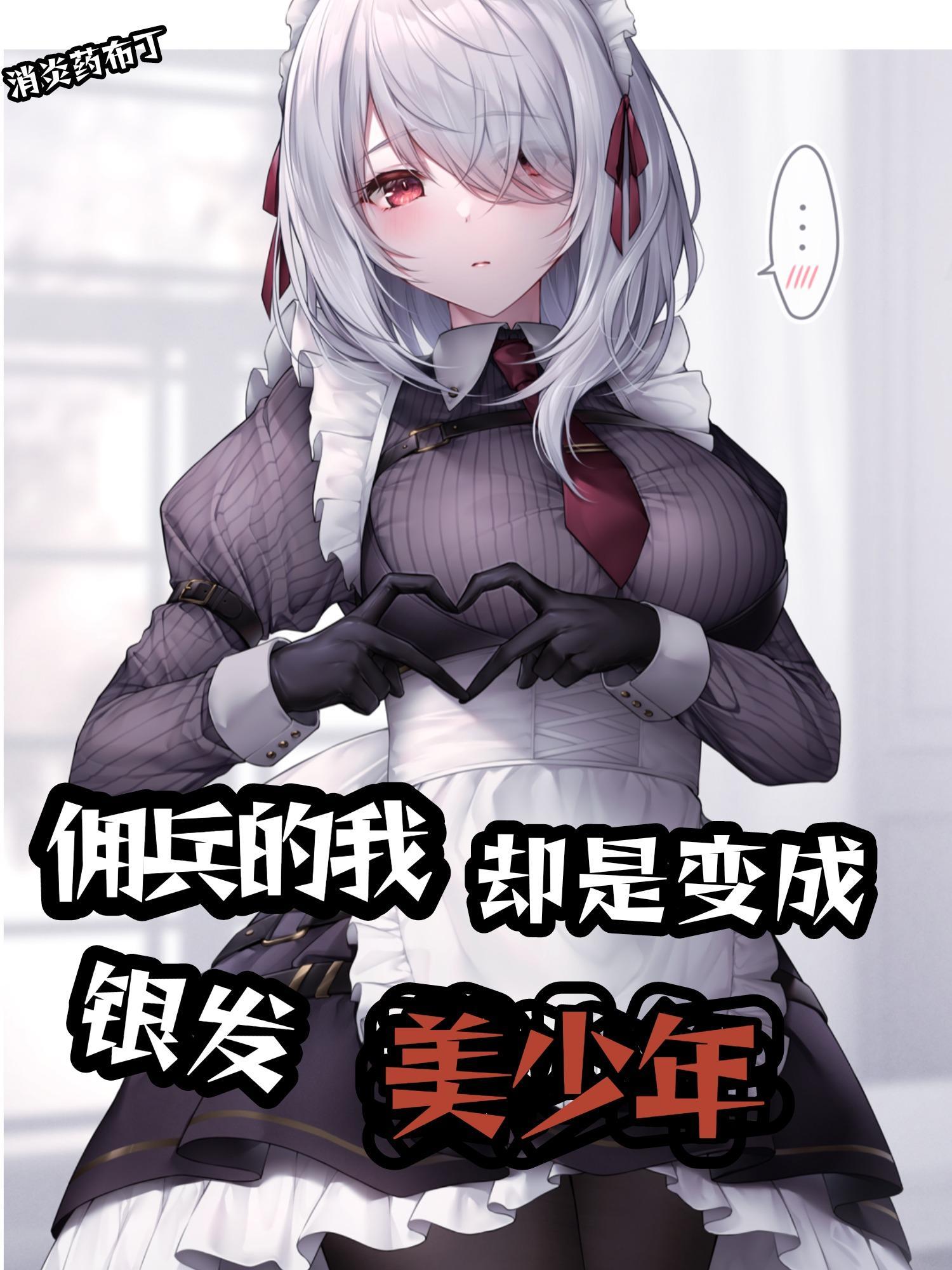 佣兵设定