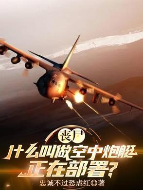 空中炮艇被击落