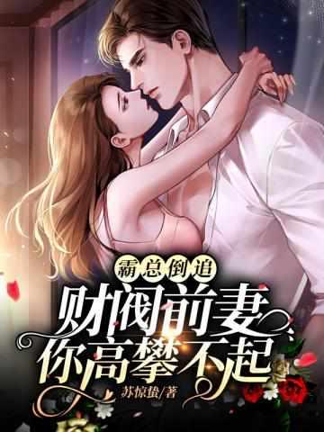 女主叫沈惊晚的