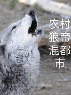 重生农村少年混都市