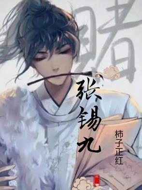 张锡九个人简历介绍