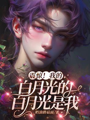 我的白月光是哪本书
