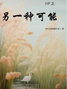 hp另一种可能性