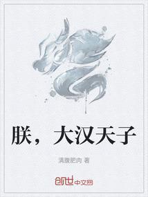 朕，大汉天子